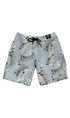 Rusty Levitate Mens Boardshorts Pastel Blue