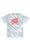 SantaCruzNotADotHollowYouthT-ShirtSlateTieDye2SkateConnection