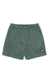 Santa Cruz Solid Strip Mens Shorts Sage