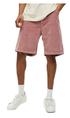 Stussy Cord Big Ol Mens Shorts Pink