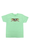 Anti Hero Eagle Mens T-Shirt Mint Green