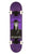 Birdhouse Level 3 Plague Doctor Purple Skateboard 7.5in Skate Connection
