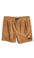 Stussy Wide Wale Cord Mens Beach Shorts Pigment Almond