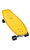 Arbor x Carver Shaper Tyler Warren Surf Skate w/C7 Trucks